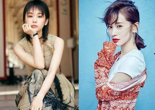 个子低明星,矮小身材下的无限魅力