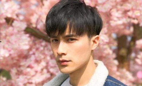 男明星颜值知乎,男明星颜值排行大揭秘