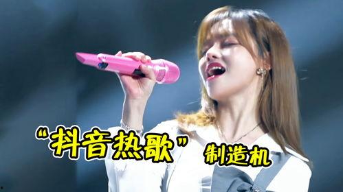 网红又一神曲是谁,引发全网热议！