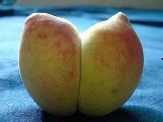 物理老师歪瓜裂枣,物理老师眼中的趣味物理现象解析