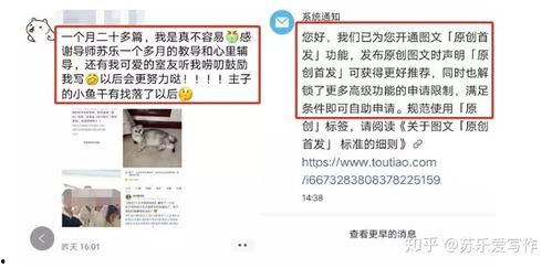 头条新闻开通权限,开通权限解锁更多精彩内容！