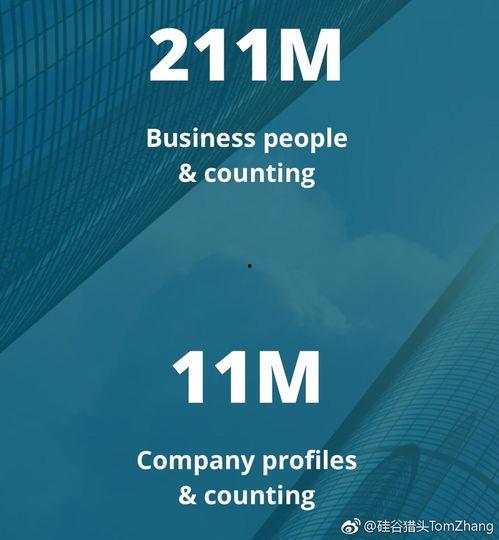 硅谷猎头爆料视频,独家爆料行业内幕与真实故事