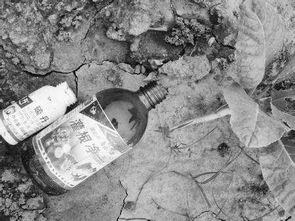 碣石吃瓜事件真相,真相背后的惊人内幕