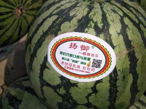 瓜瓜吃瓜故事的主题,揭秘娱乐圈背后的故事与真相