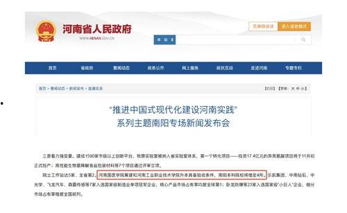 河南南阳今日头条,探寻南都古韵，聚焦最新动态