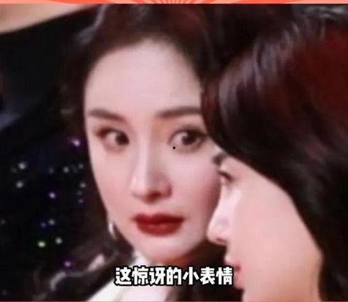娱乐圈的瓜吃撑了,揭秘明星幕后故事